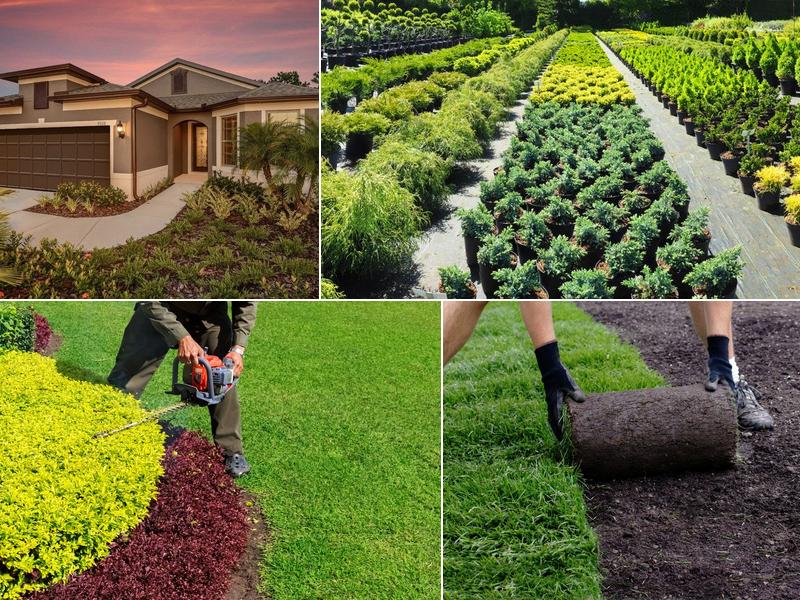 Sun State Landscape Management