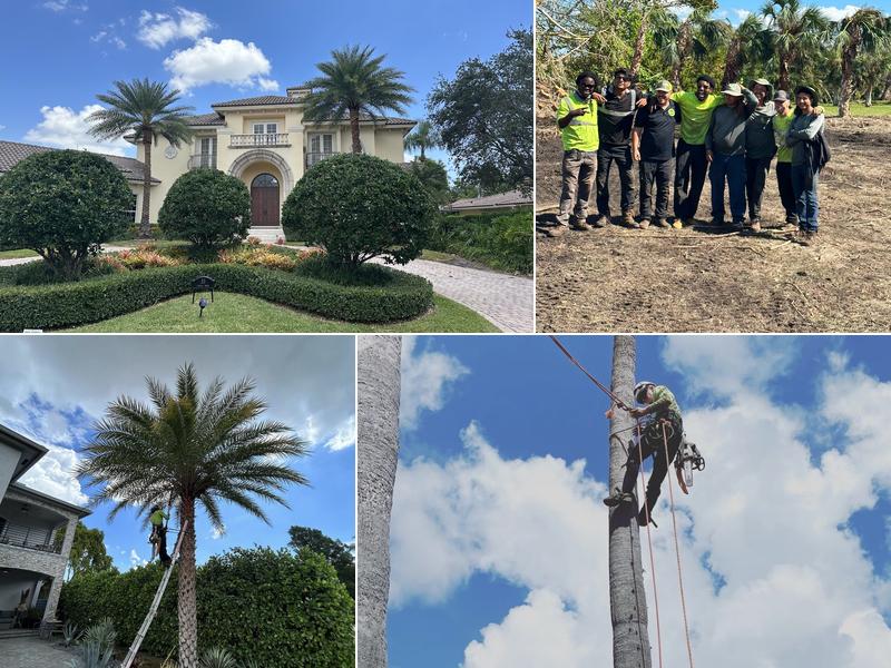 Agility Property Maintenance