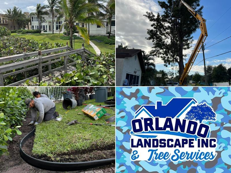 orlando landscape inc and tree service
