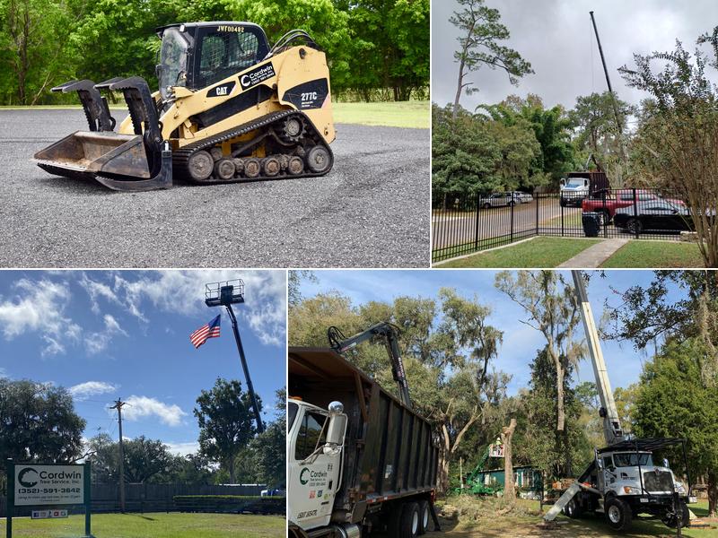 Cordwin Tree Service - SavATree