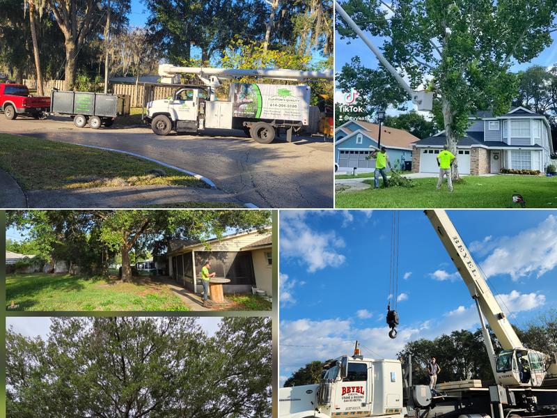 Clayton's Quality Tree Service LLC