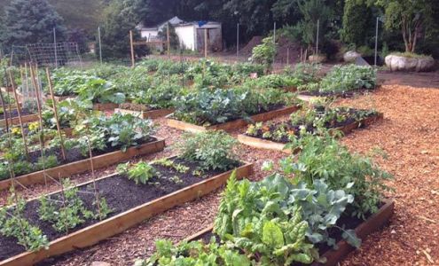 AAA Greencut Lawn Care LLC