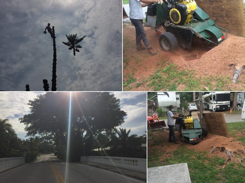 Parsons Tree And Landscaping