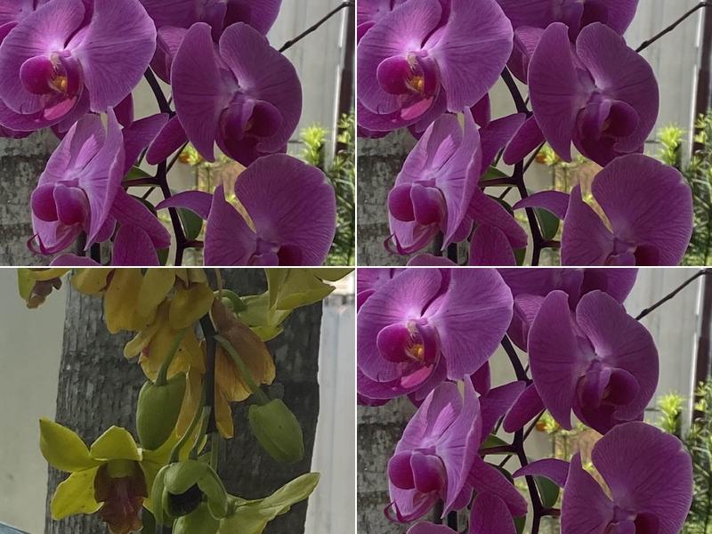 Island's Lawn & Garden