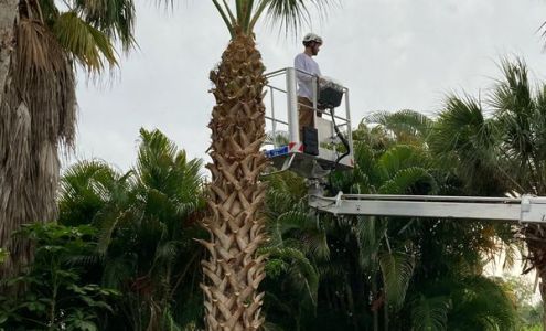 Williamson Lawn and Tree Service