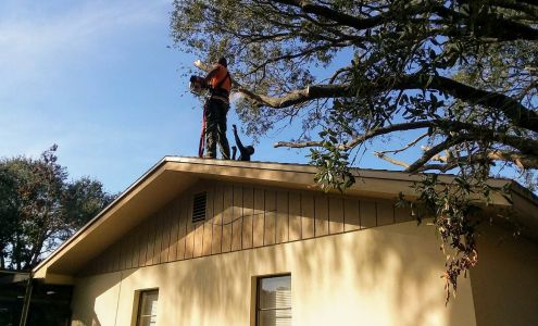 J&B trees and landscaping