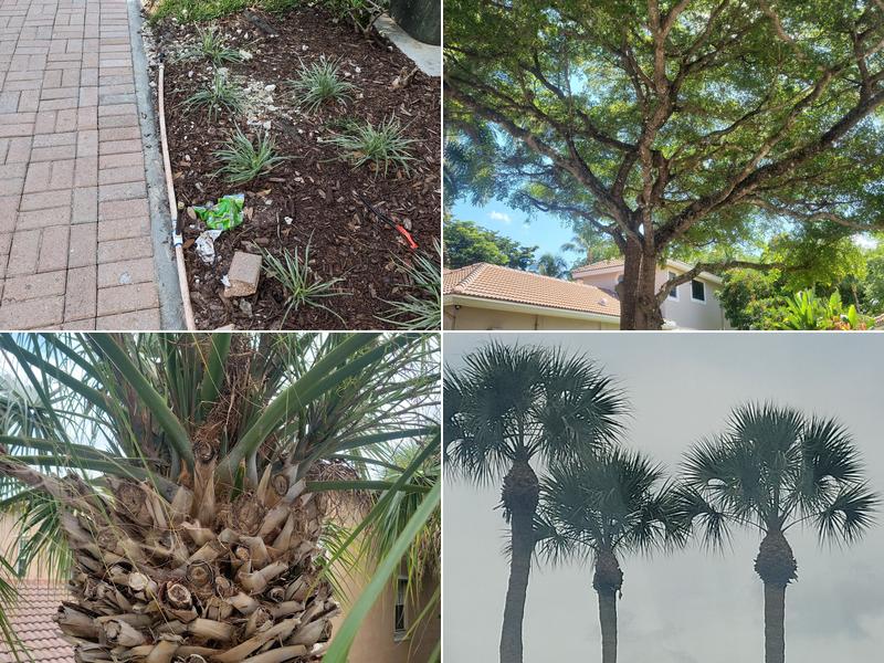 Sonshine Landscape & Maintenance Inc