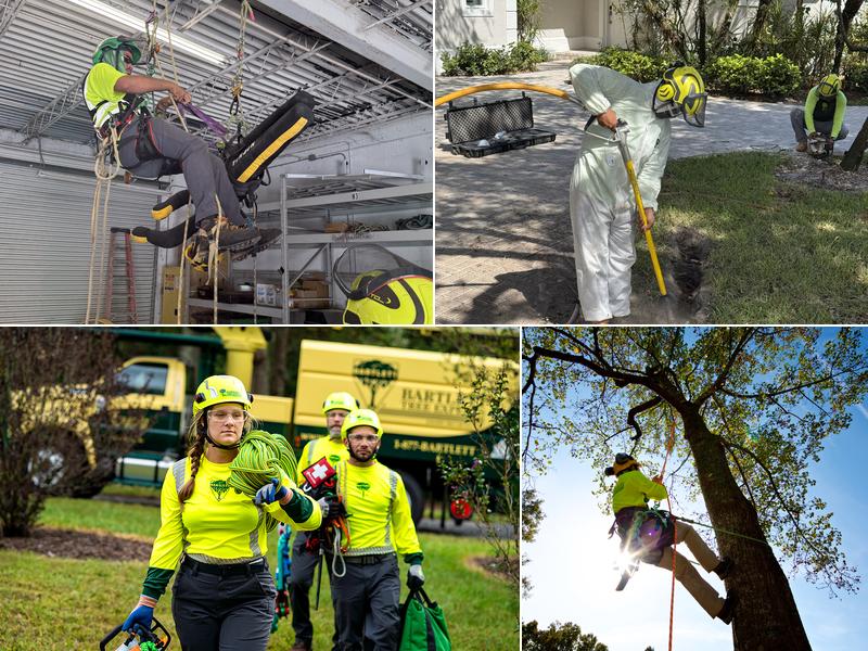 Bartlett Tree Experts