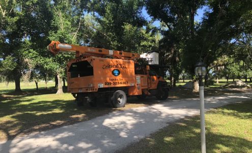 Critical Tree Service