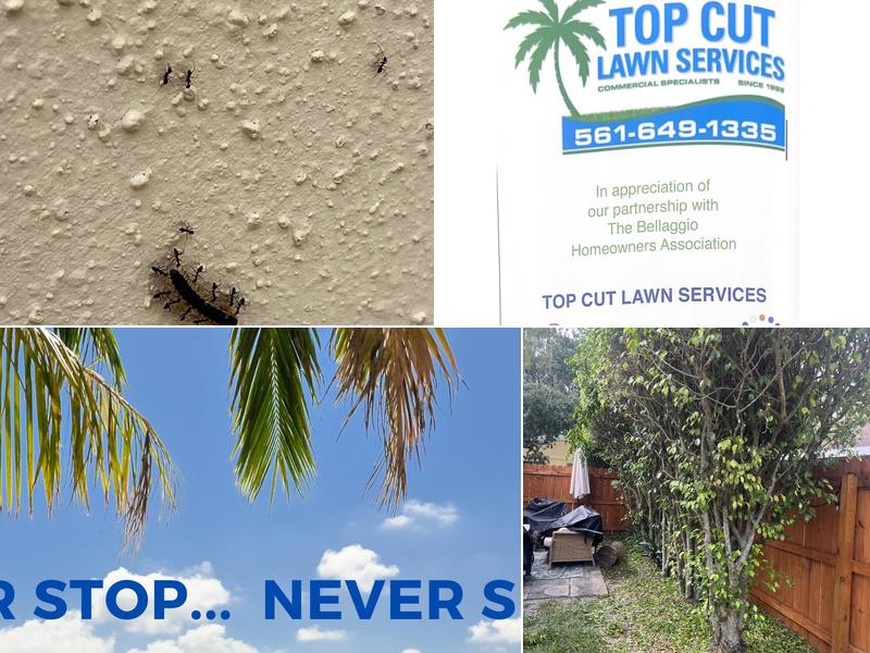 Top Cut Lawn Services