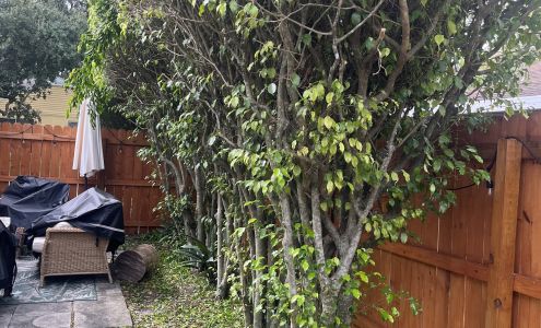 Top Cut Lawn Services