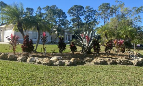 Koy-13 cutting tree services & best landscaping