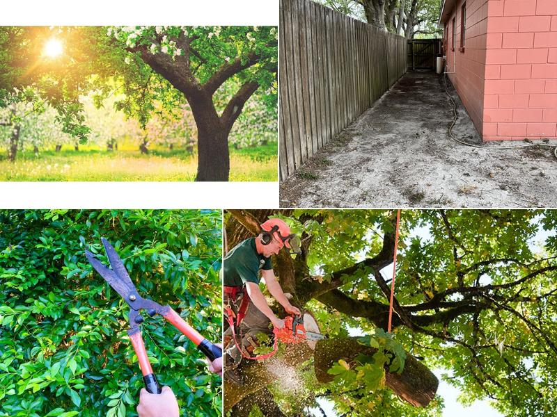 J & M Lawn Service and More LLC