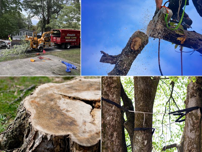 Complete Tree Care Inc.