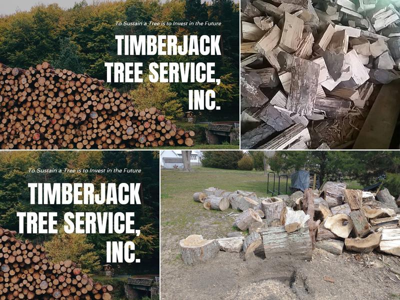 TimberJack Tree Service Inc.