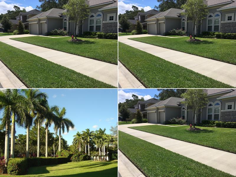 Sunway Landscape Services