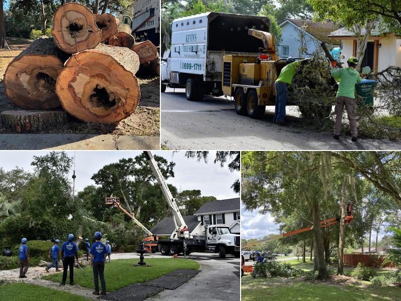 Kevin's Tree Service