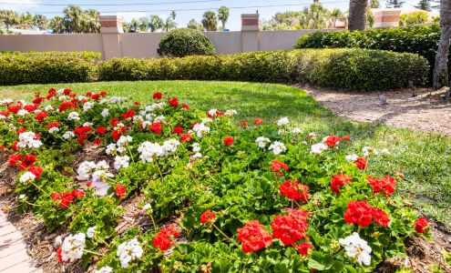 Cut-Rite Landscaping