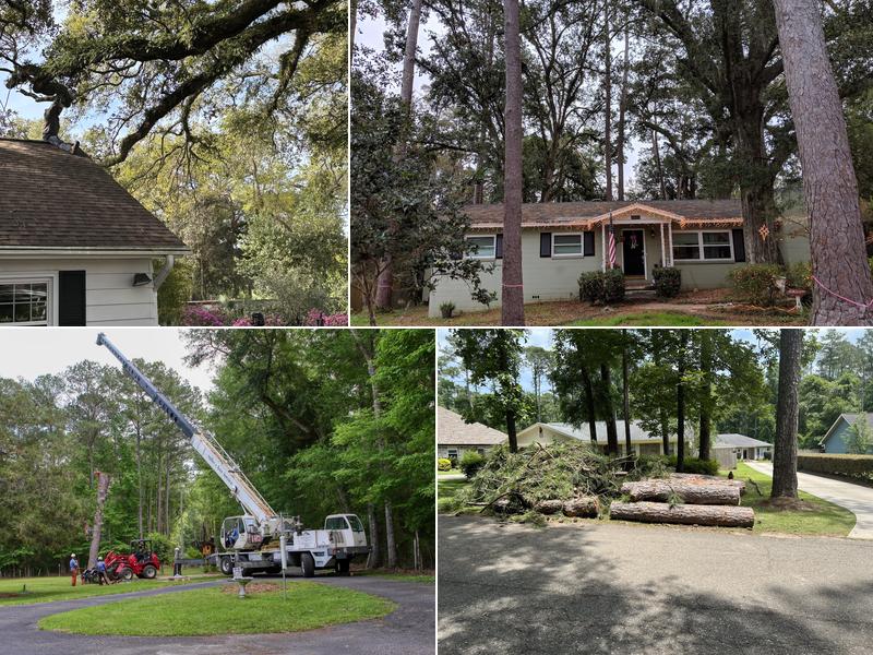 Miller's Tree Service