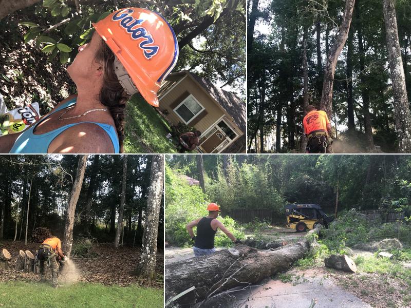 Collins Tree Service
