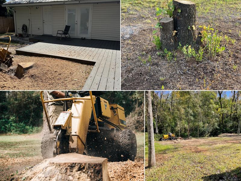 Cornerstone Stump Grinding