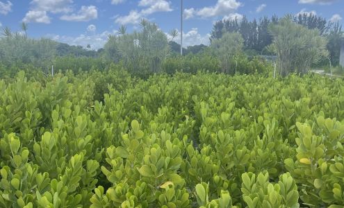 PHB Landscaping & Nursery