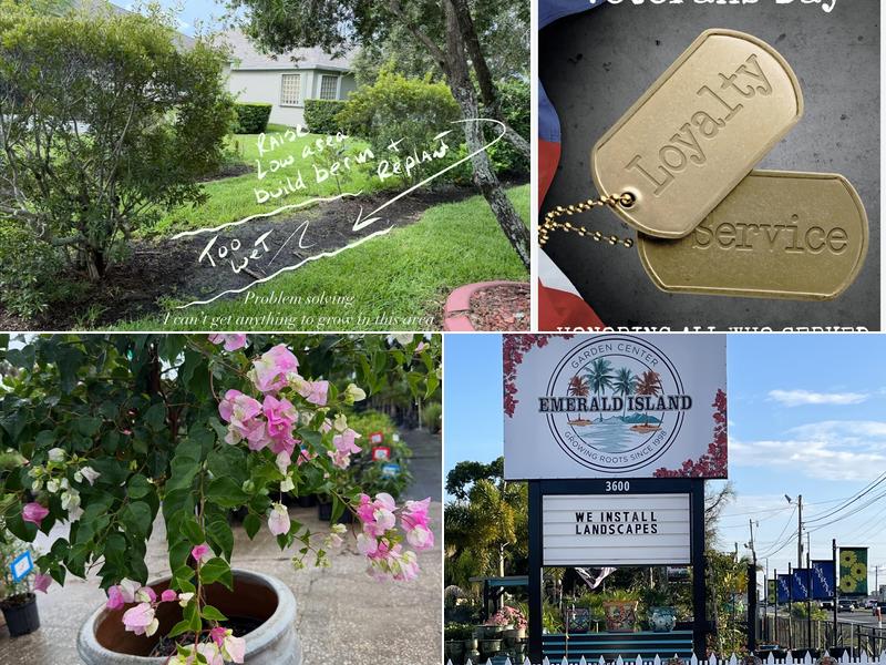 Emerald Island Garden Center, Inc.