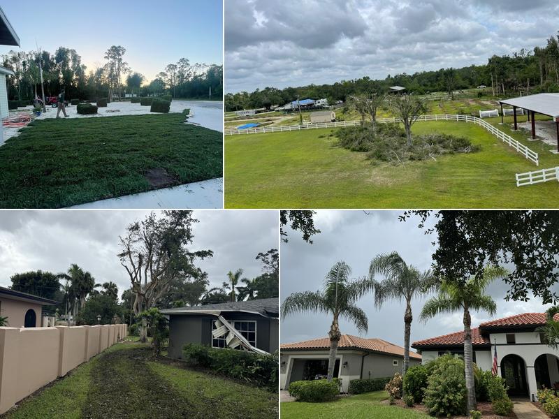 RLTC Inc. Tree Service and Lawn Care