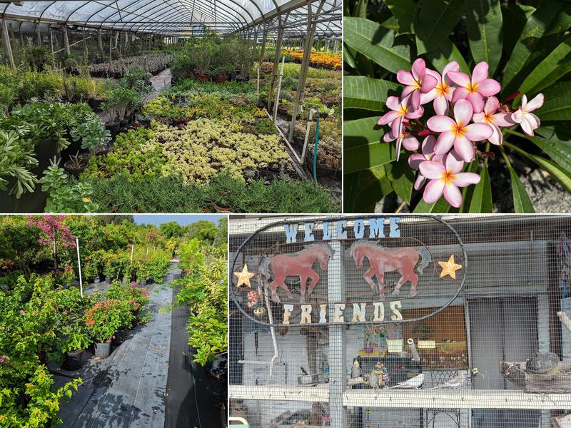 SunnyDays Nursery & Landscape LLC.