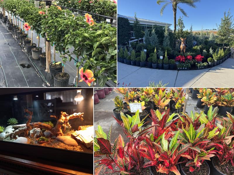 Canterbury Farms Nursery & Garden Center