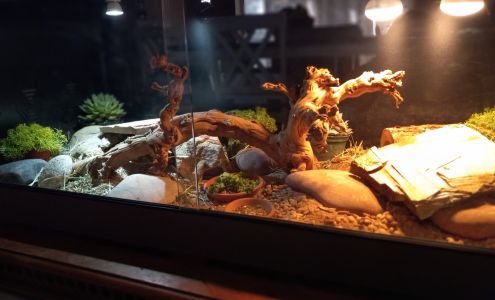 Canterbury Farms Nursery & Garden Center