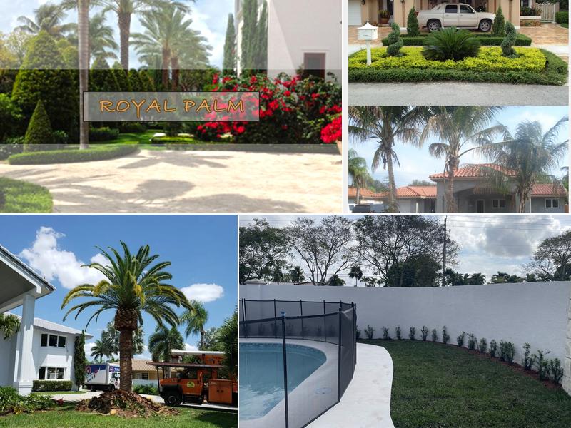 Royal Palm Landscaping Inc