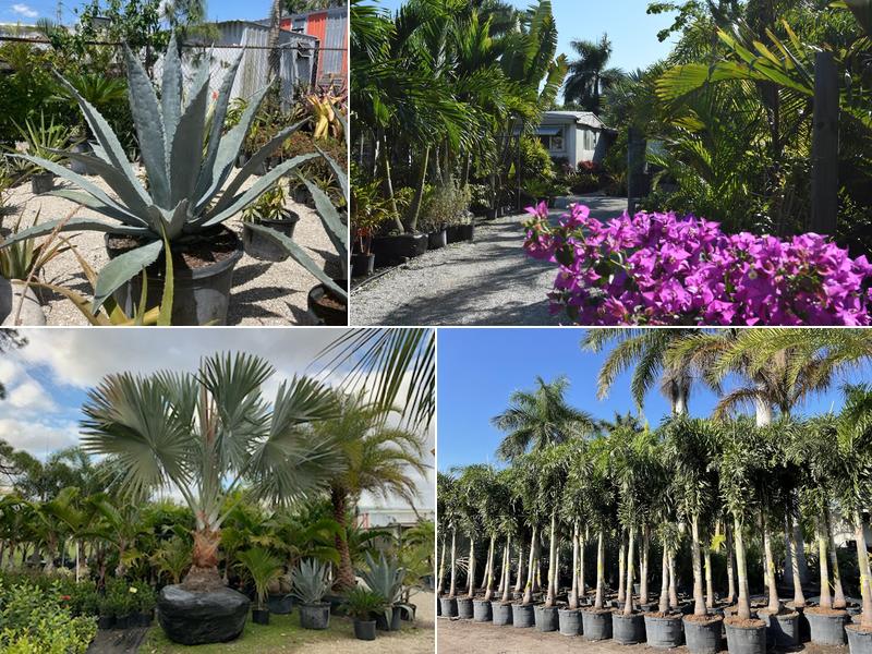 B&C Fruit Trees and Landscape, LLC