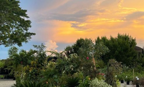 Fiore's Landscapes & Garden Center