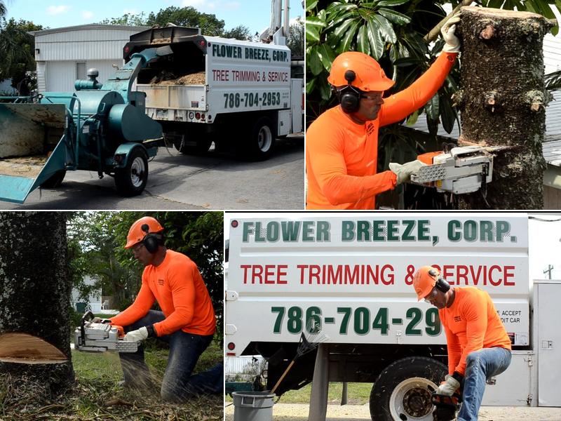 Flower Breeze Corp - Landscaping