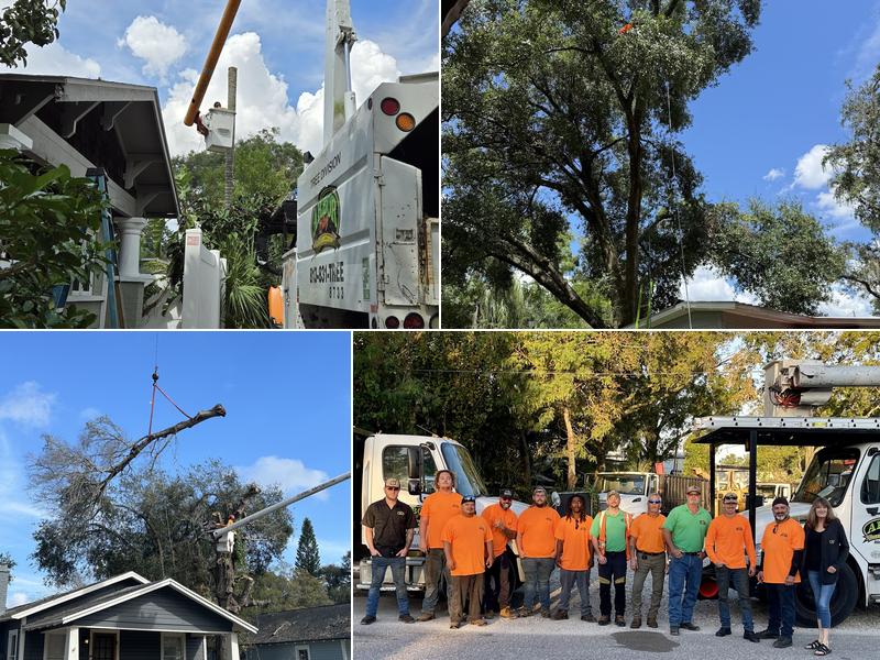 Arbor Bay Tree Service