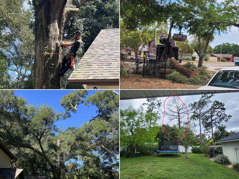 McCullough Tree Service