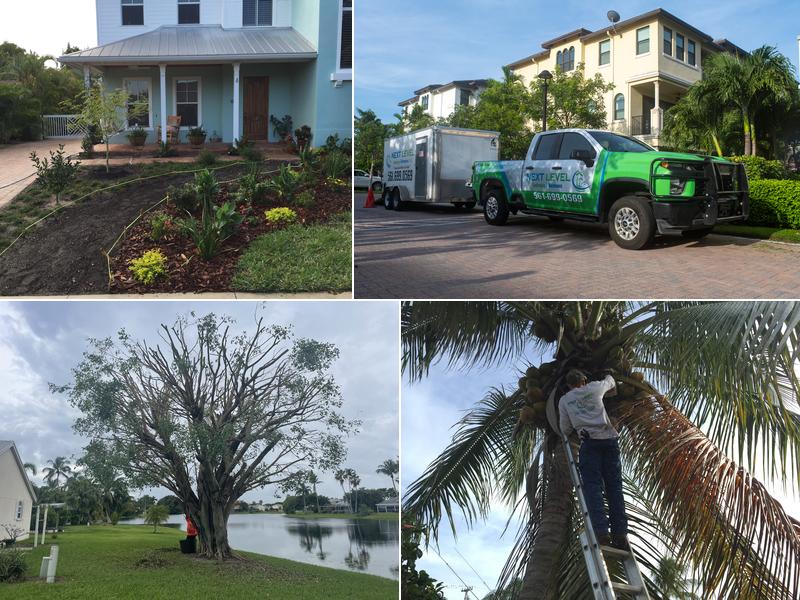 Next Level Landscaping and Maintenance