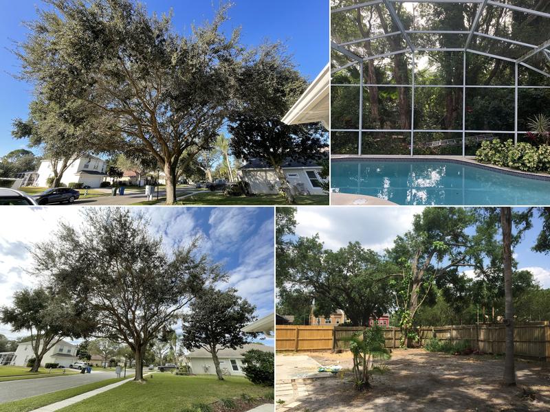 The Sunbelt Tree Service LLC