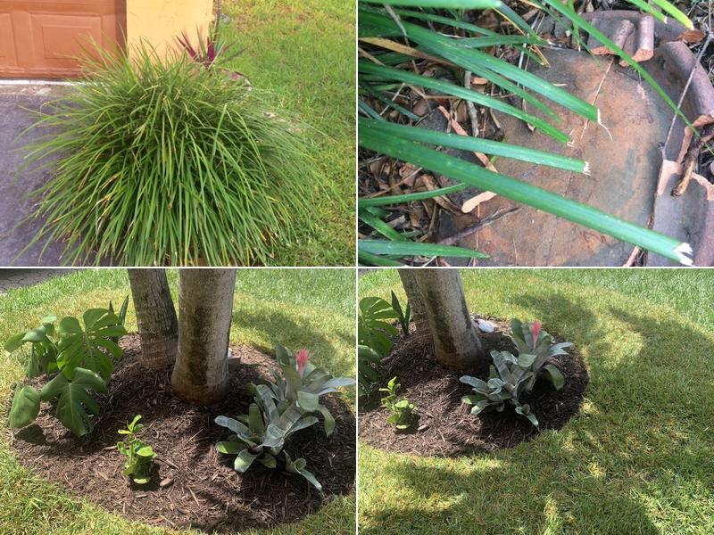 Native Sun Landscape Services, Inc.