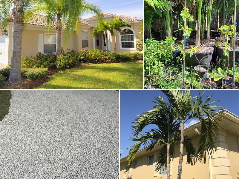 Cortes & Sons Landscaping & Nursery