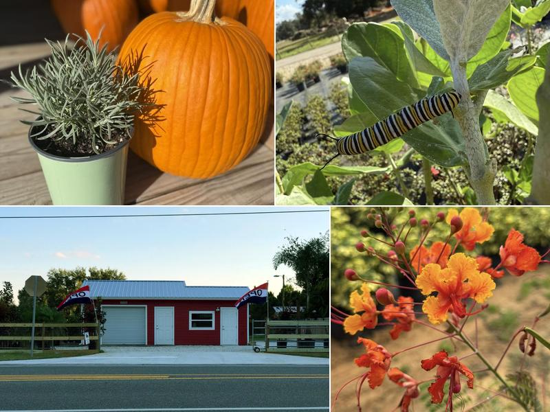 Traveling Trees Garden Center