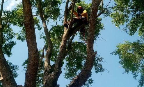 Rolling Hills Tree Company LLC