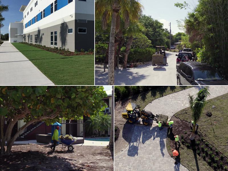 Agriscape Sod Service