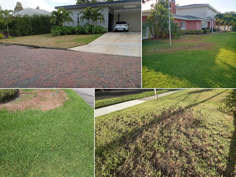 Executive Turf Management Inc