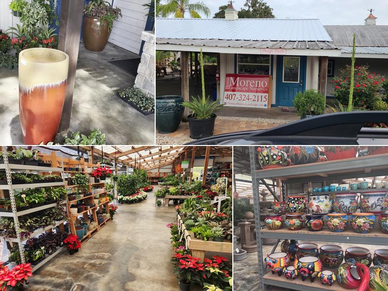 Thomas Moreno Landscape Nursery Inc