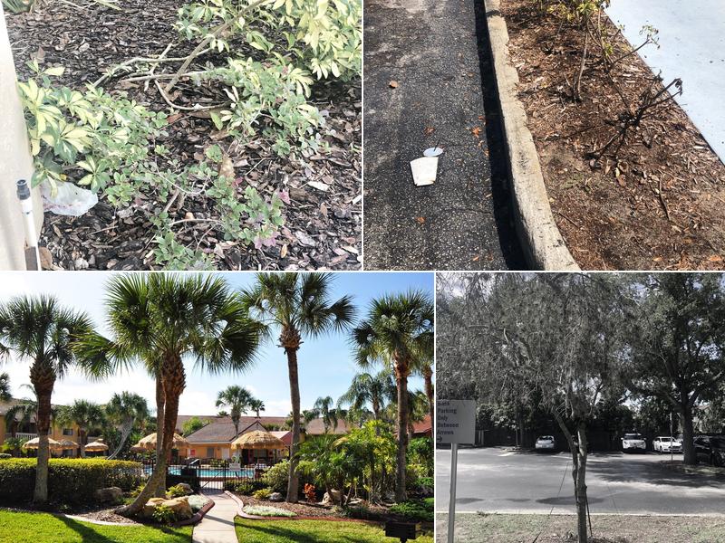 DS Landscape & Maintenance