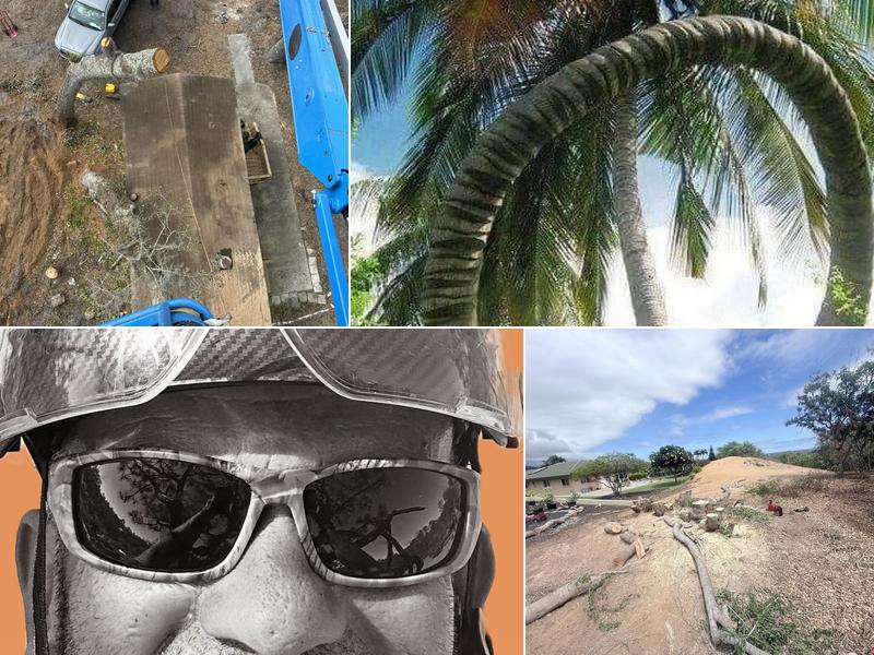 Tree Tops Tree Service LLC