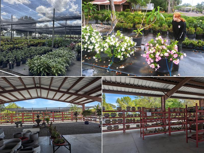 C C Landscaping, Nursery and Garden Center