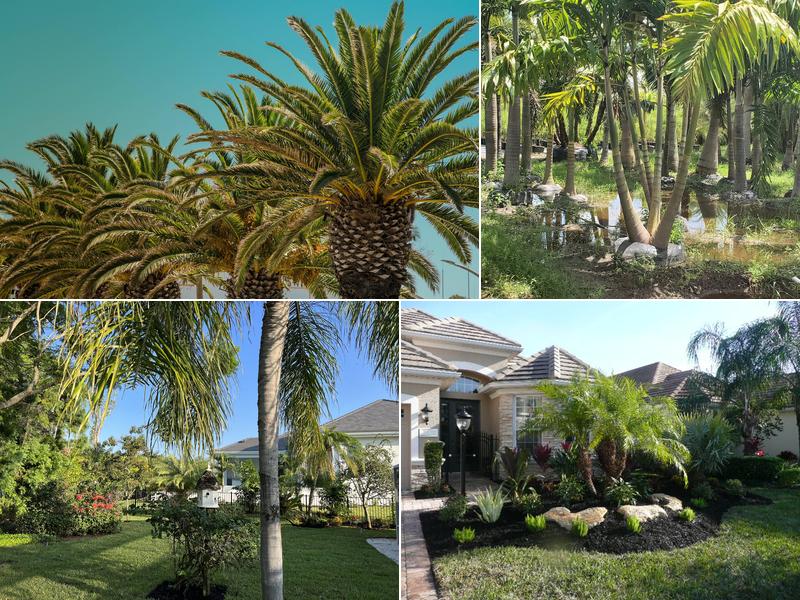 Blue Sky Landscaping